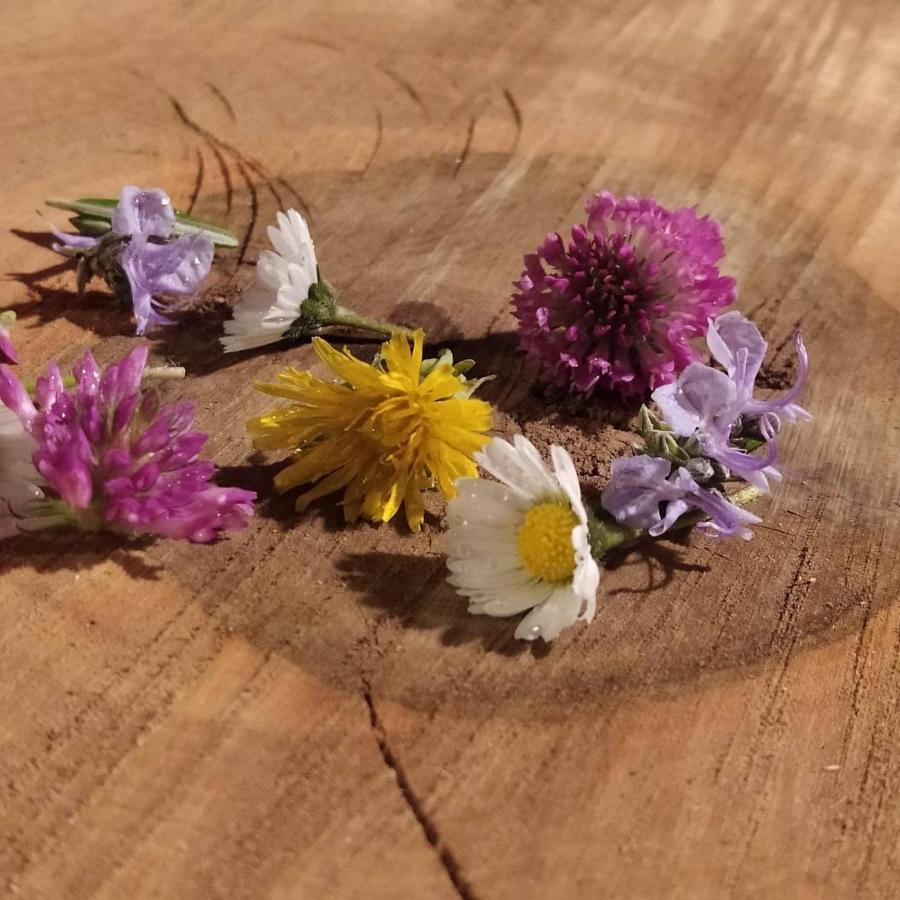 Appartamento Les Amis De Gaure Rouffiac-d'Aude Esterno foto