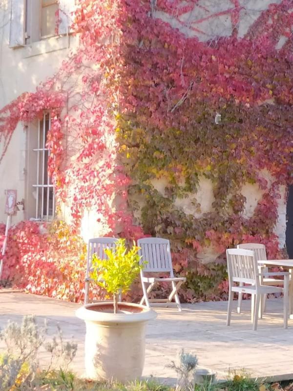 Appartamento Les Amis De Gaure Rouffiac-d'Aude Esterno foto